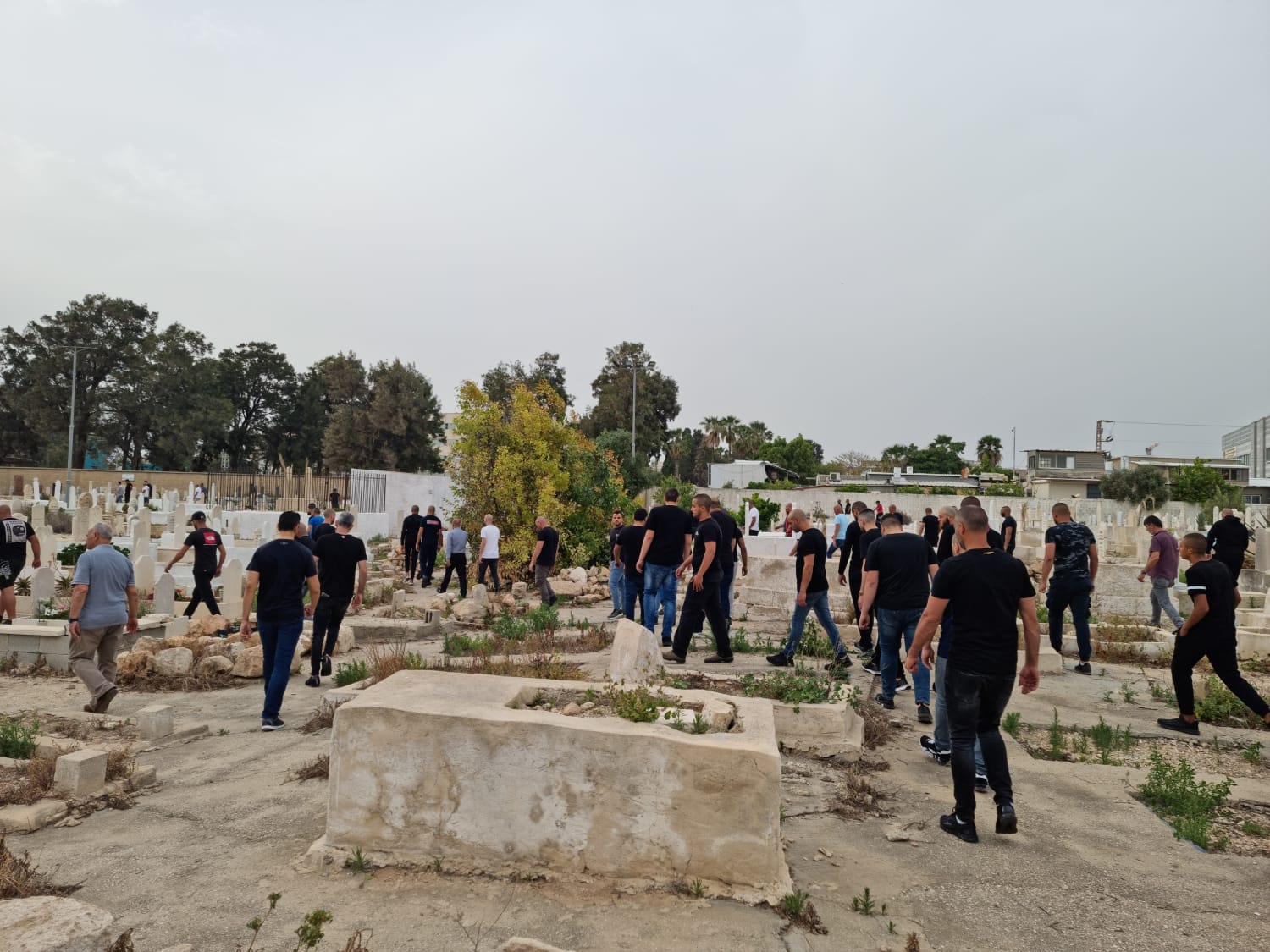 WhatsApp Image 2022-05-14 at 7.45.12 PM.jpeg